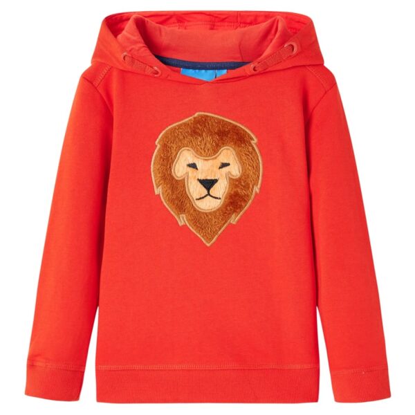 Kindertrui Met Capuchon 116
